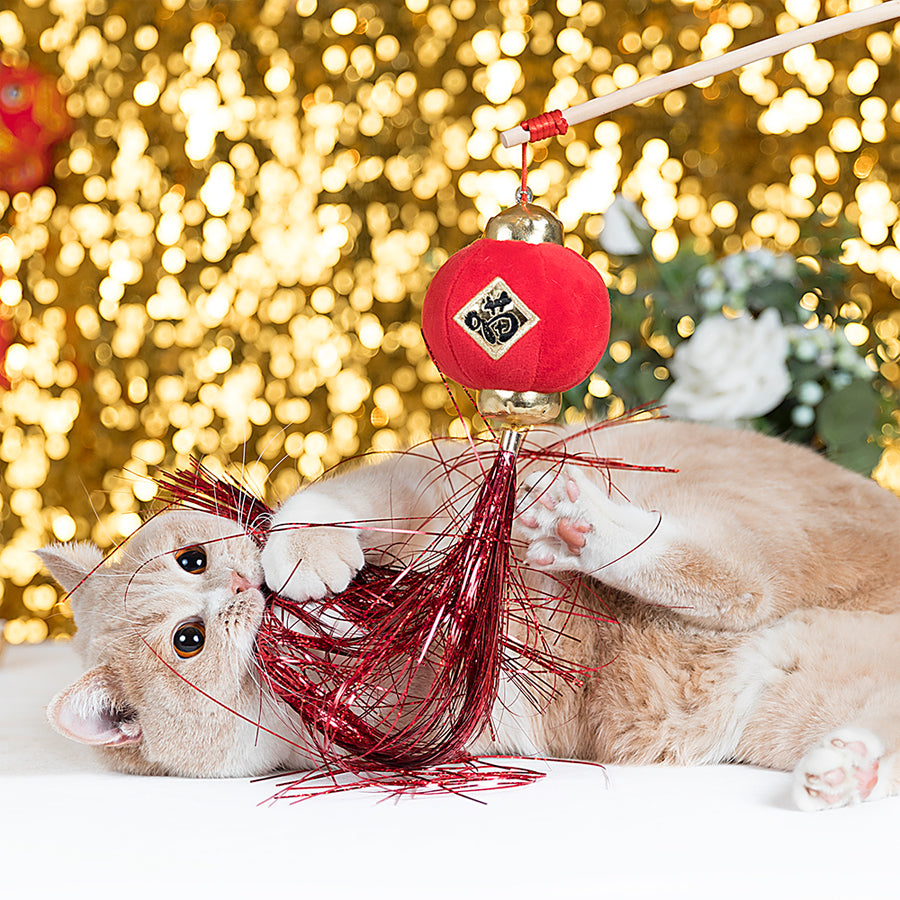 Red Lantern Tassels Cat Teaser Toy