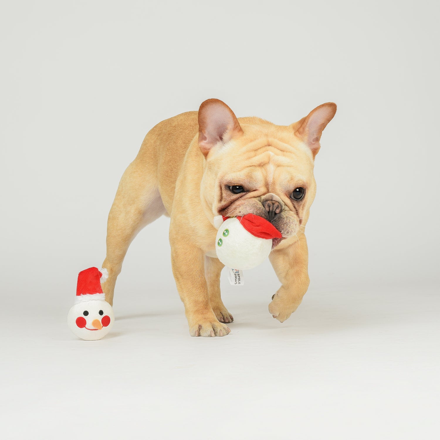 Snowman Ball Squeaky, Crinkles Detachable Plush Dog Toy