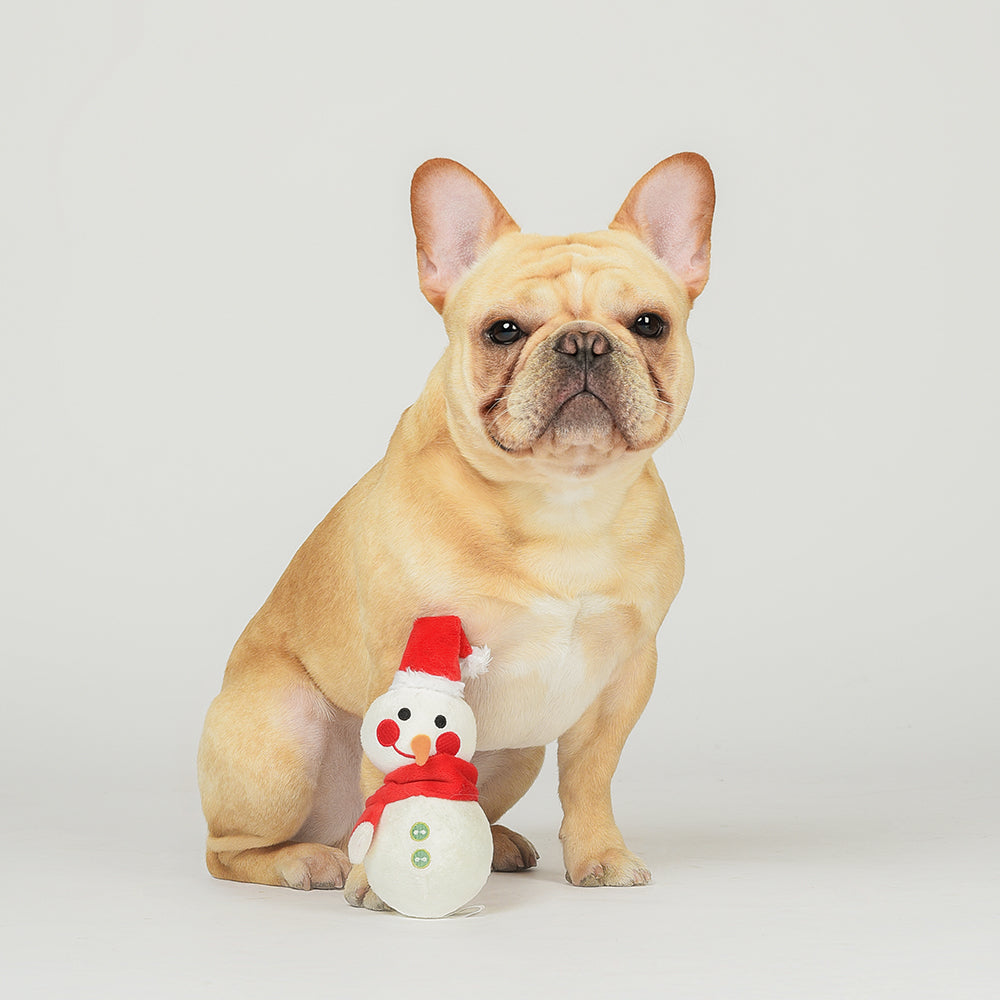 Snowman Ball Squeaky, Crinkles Detachable Plush Dog Toy