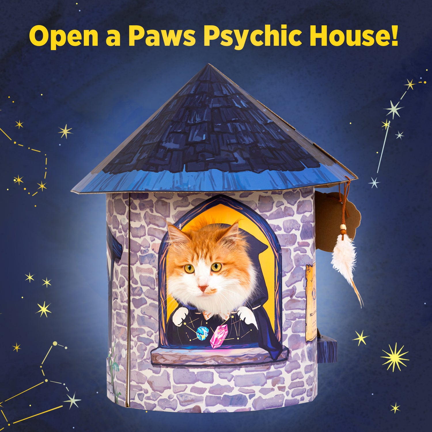 Halloween Psychic House