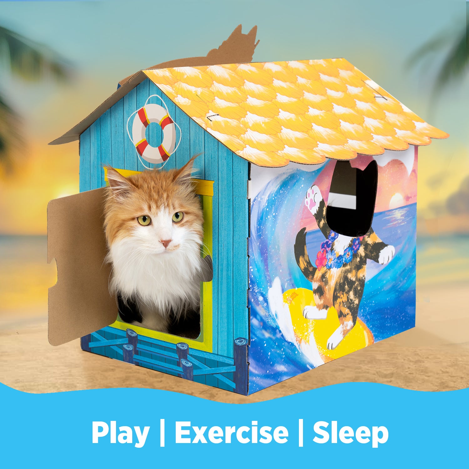 [NEW] Surf Shop Summer Holiday Edition