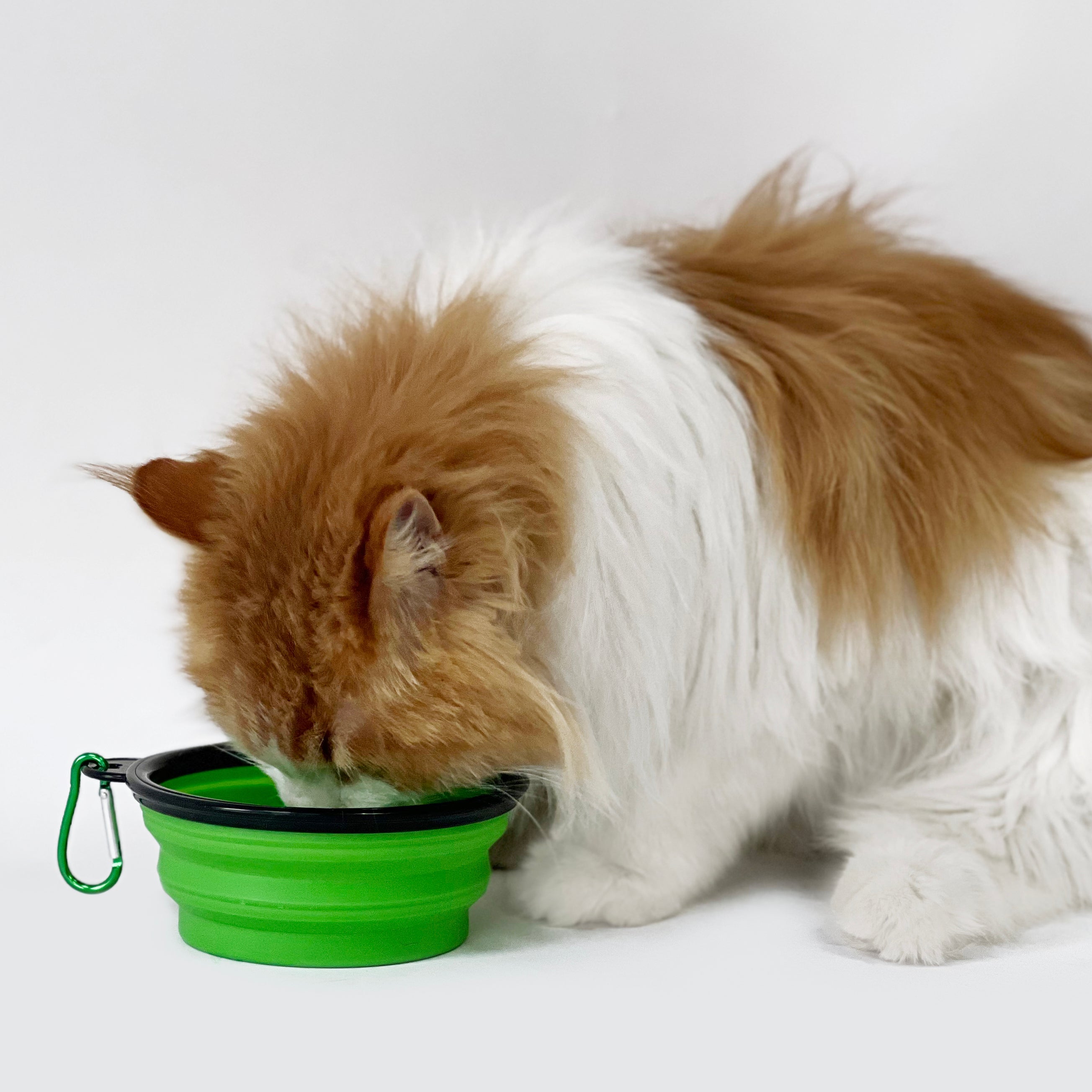 Collapsible Portable Green Cat Bowl 1PC